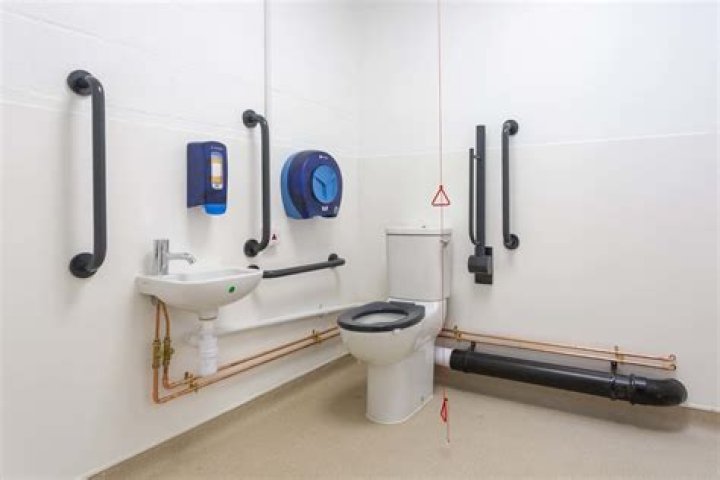 Do planes have disabled toilets?