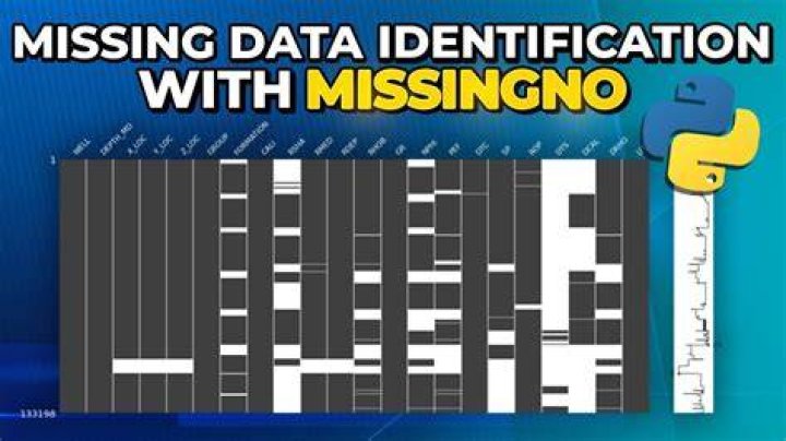 Does MissingNo have type?