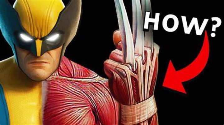 How does Wolverine bend his wrists?