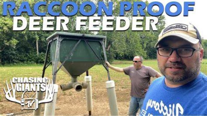 When should your deer feeder go off?